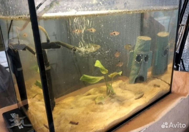 Аквариум 25 литров