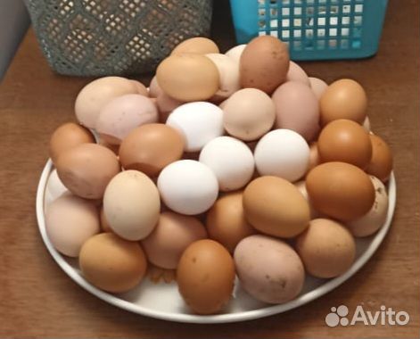 Яйца куриные домашние