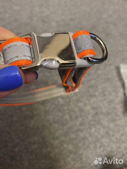 Ошейник для маленькой собаки