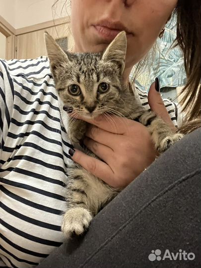 Малышка ищет семью