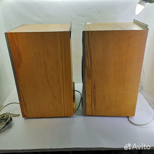 Акустическая система Электроника 75ас-128