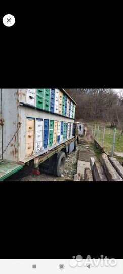 Продаётся пчелопавельон на 52 улика