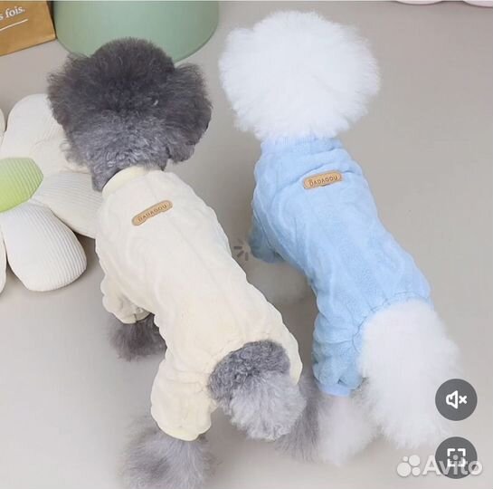 Комбинезон для собаки