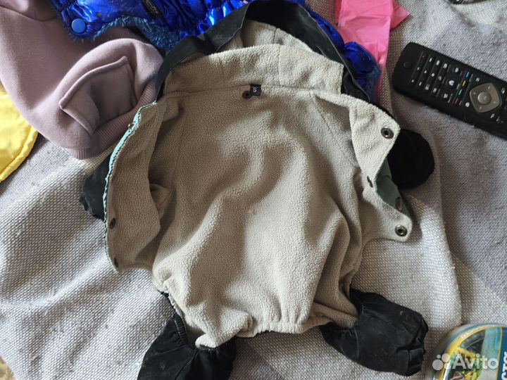 Вещи на мелкую собачку