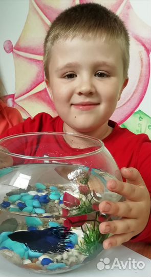 Мини аквариум с рыбкой