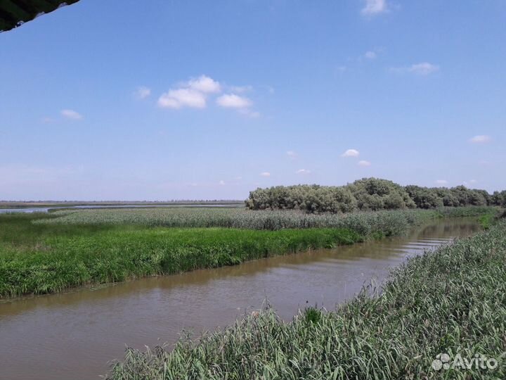 Экскурсовод по городу и области Астрахани