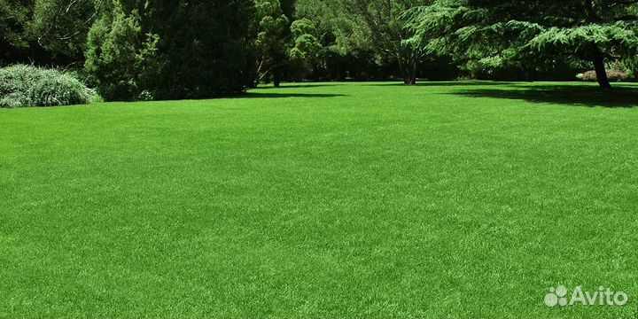 Рулонный газон