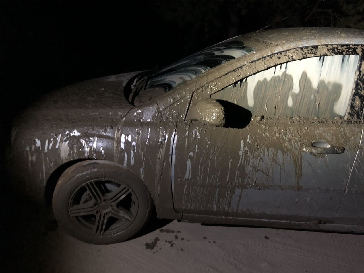 Ford Focus: фото владельца