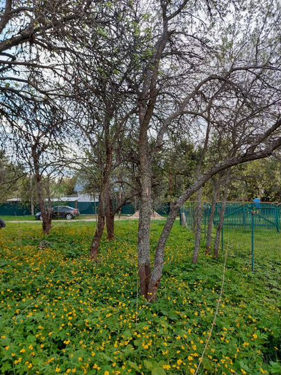 Дом 10 м² на участке 15 сот.