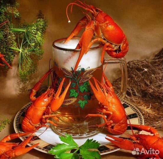 Живые раки, варим на заказ, доставка