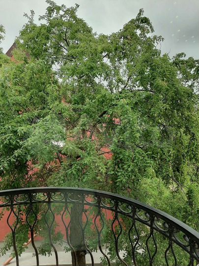 4-к. квартира, 115 м², 2/3 эт.