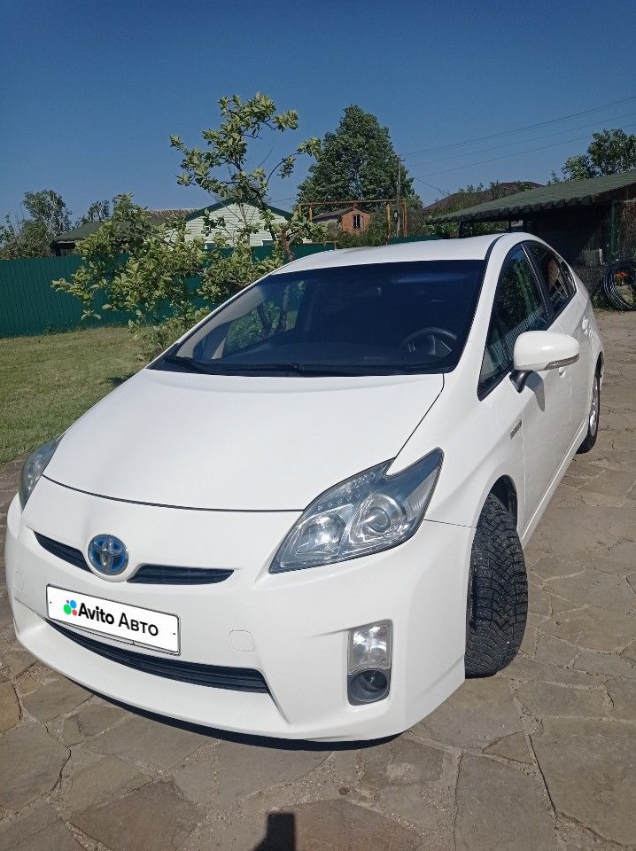 Toyota Prius: фото владельца