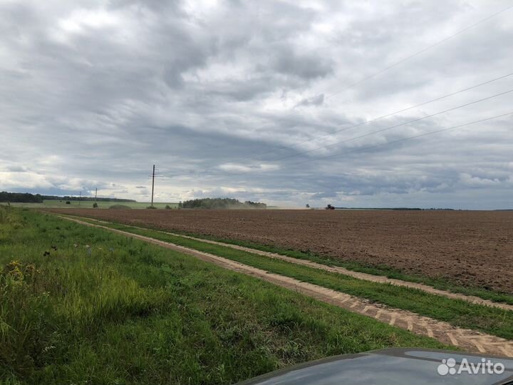 Шорты мужские nike