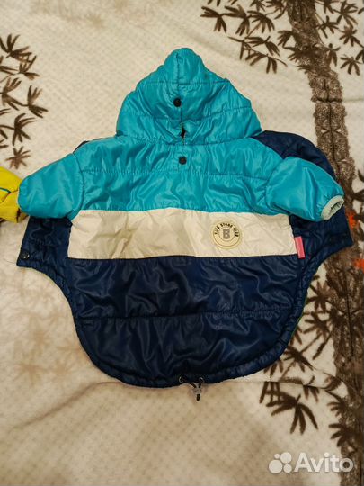 Одежда для собак мелких пород