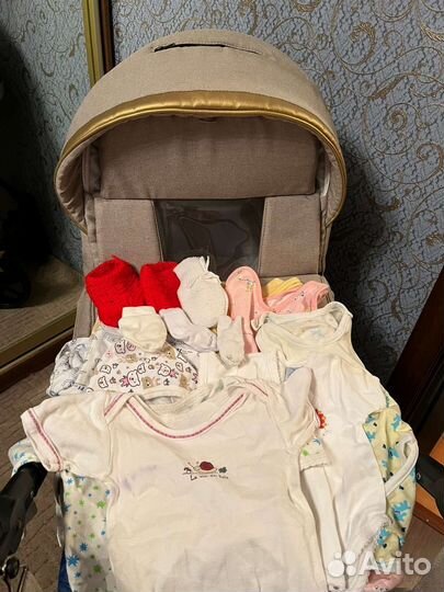 Коляска 2 в 1 adamex