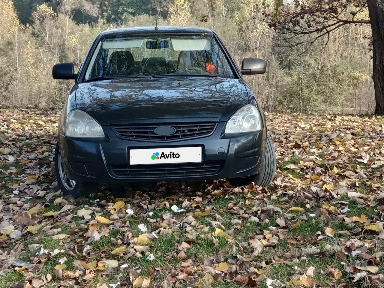 ВАЗ (LADA) Priora: фото владельца