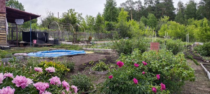 Дача 20 м² на участке 7 сот.