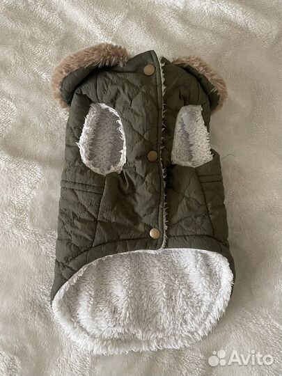 Жилет для собаки