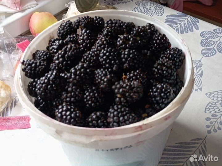 Ежевика свежая