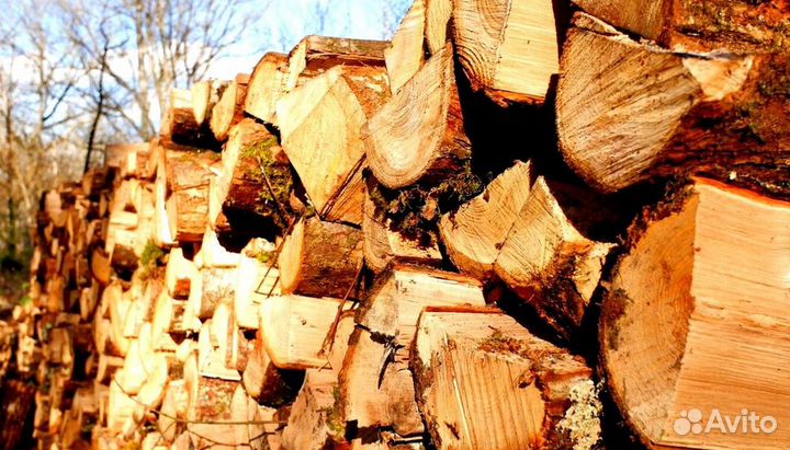 Дрова после сушки