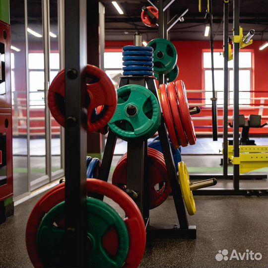 Диск обрезиненный 3 handle цветной D51 мм profi-FI