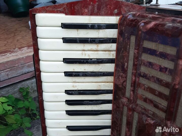 Аккордеон Tenora