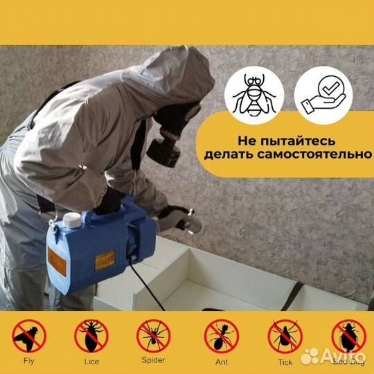 Уничтожение клопов, тараканов, кротов. Дезинфекция