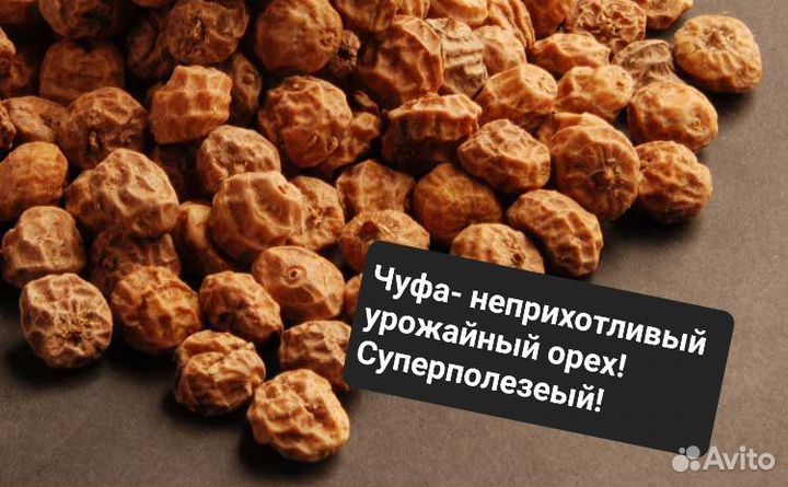 Овощи гиганты Весенняя посадка