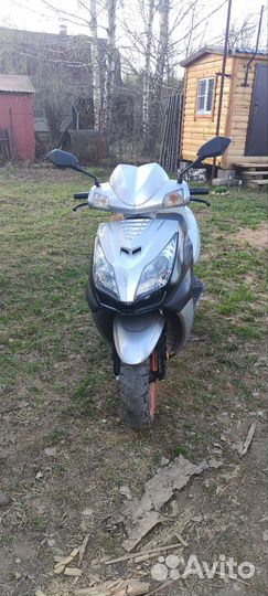 Ирбис нирвана