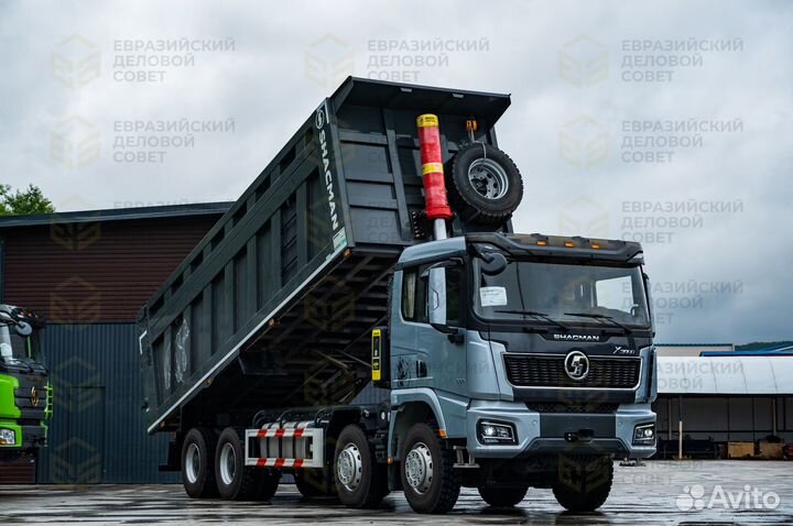 Shacman (Shaanxi) SX33186V366, 2024