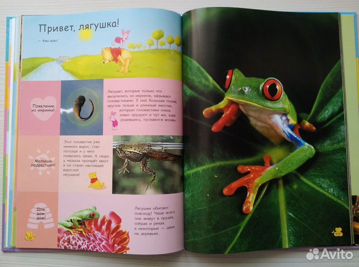 Моя первая энциклопедия с Винни - 