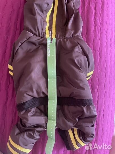 Комбинезон для маленькой собаки зимний