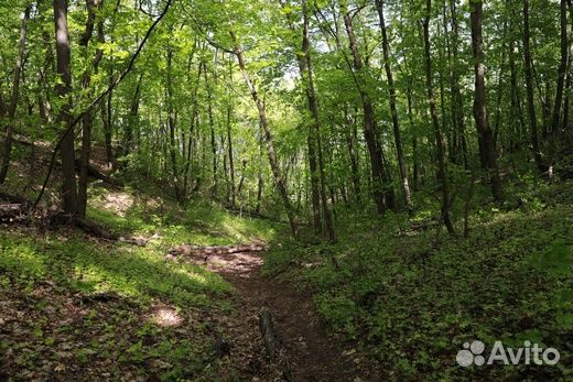 Экскурсия по горе Тип-Тяв