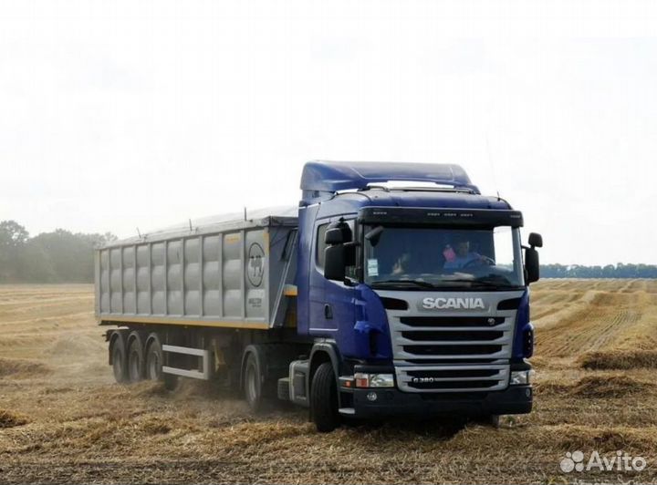 Услуги зерновоза