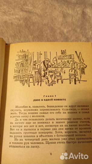 Белый Бим,черное ухо, 1975 г