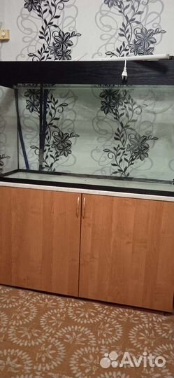 Рыбки