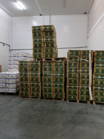 Склад, 650 м²