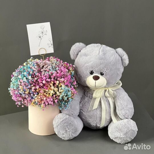 Мишка и радужная гипсофила