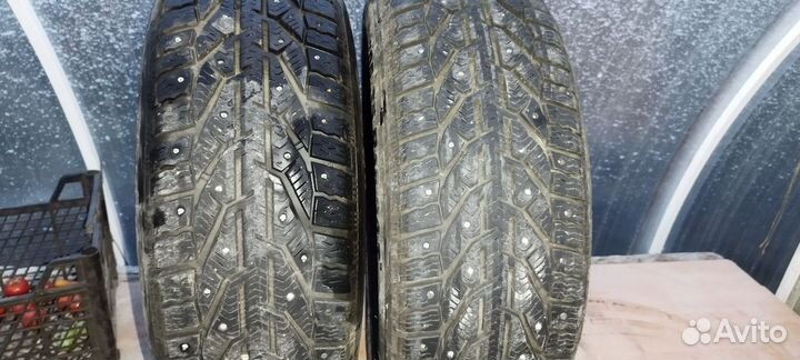 Tigar Ice 205/55 R16