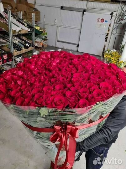 Розы Цветы Букеты 25 151 201 101 301 501 опт