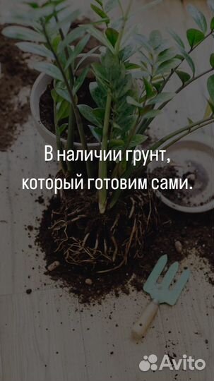 Грунт для комнатных растений