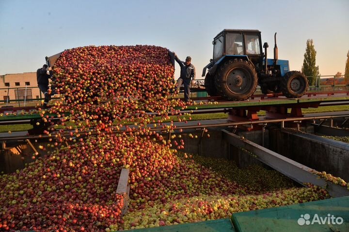 Вахта 30/45 смен Разнорабочий еда+жилье Волгоград