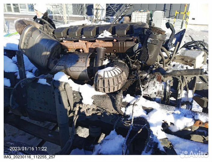 КамАЗ 65206, 2021