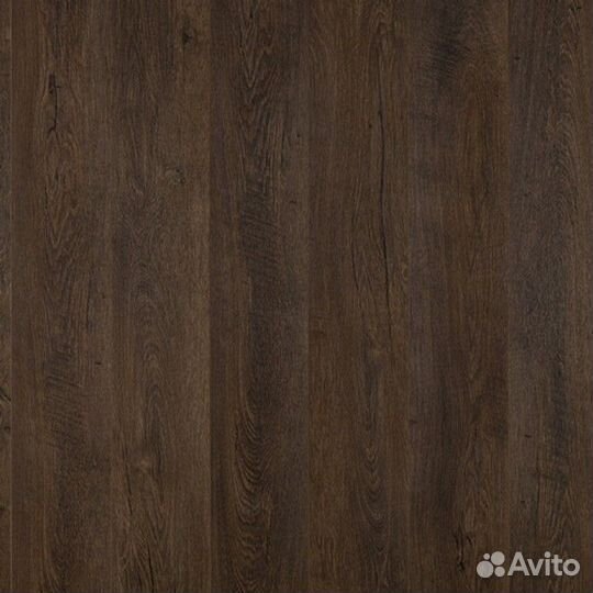 Odyssey 833 Дуб Милет 33 класс