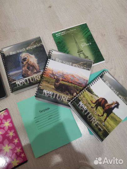 Тетради школьные 12, 24 и 96 листов