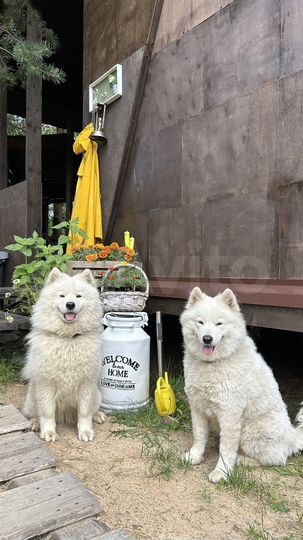 Дом 130 м² на участке 25 сот.