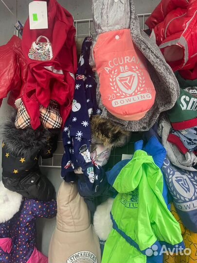 Корм для собак и котов Award