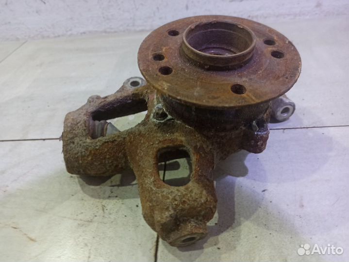 Кулак задний левый