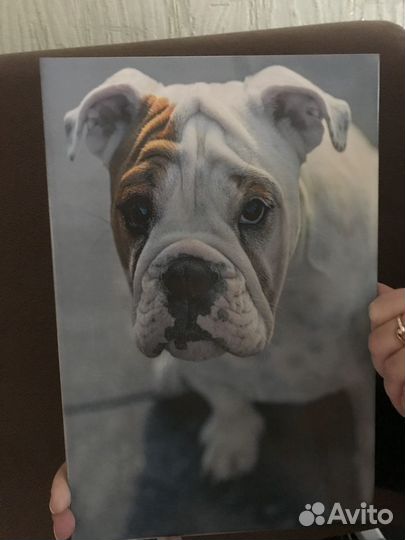 Керамическая плитка с любым изображением