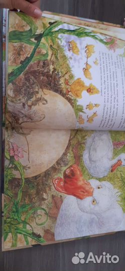 Гадкий утенок подарочное издание